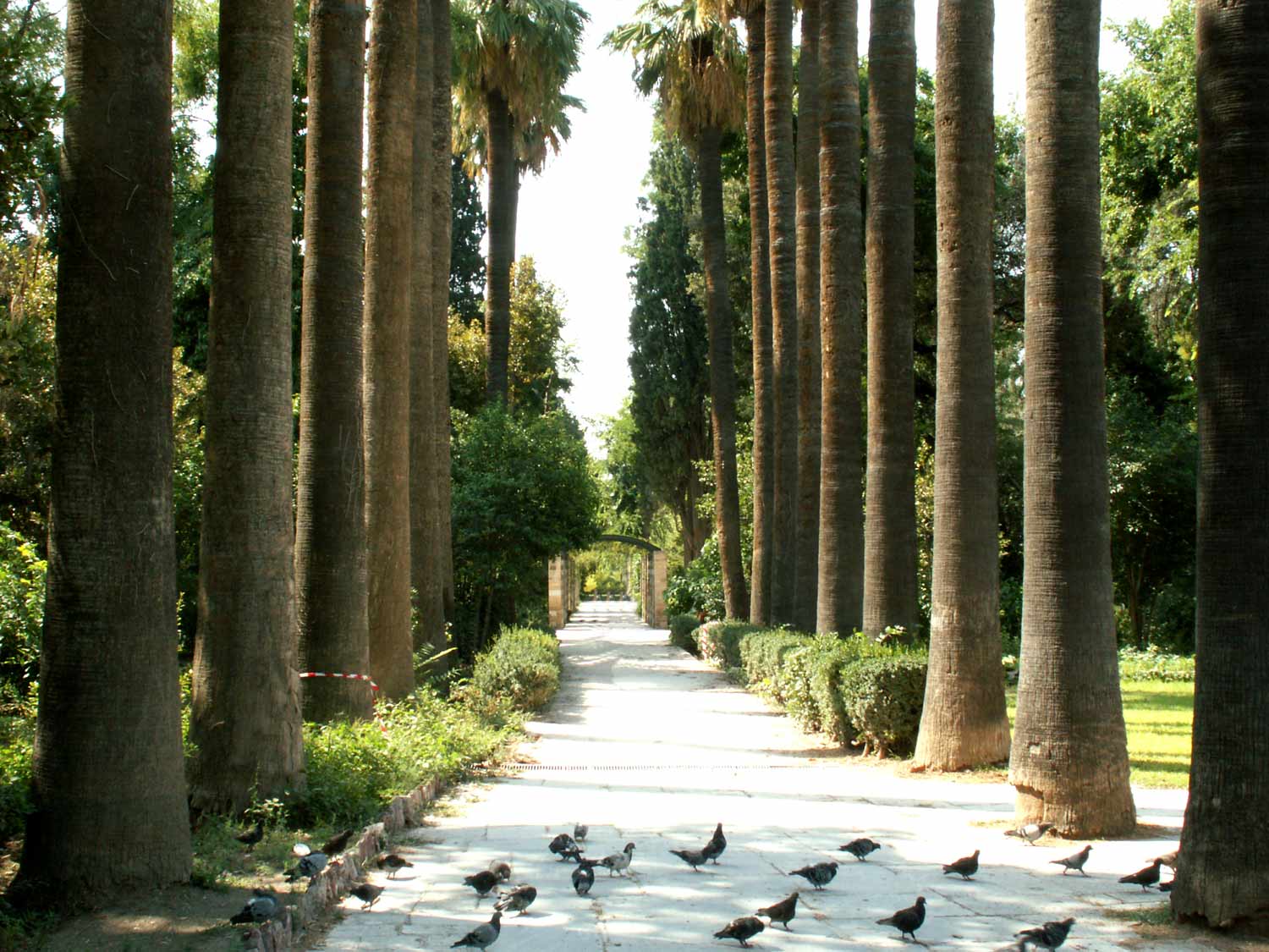 Athens Hotels Greece